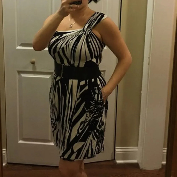 Iisli Garbo Zebra Dress - Picture 4 of 5